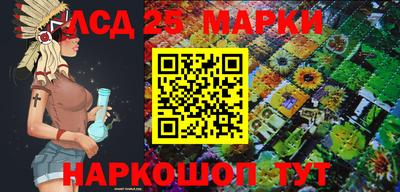 СК Новозыбков