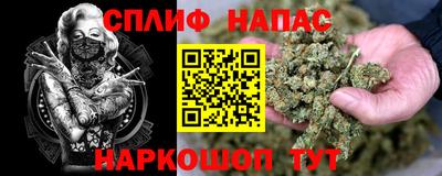 скорость Новодвинск