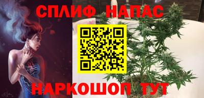 СК Новозыбков