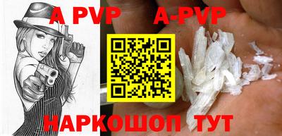 СК Новозыбков