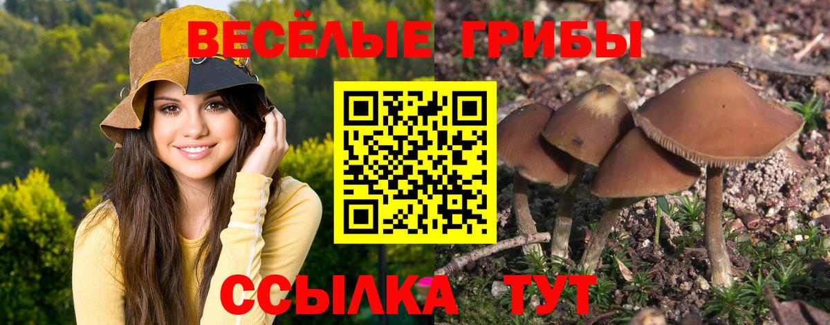 Каннабис  А ПВП СК   Вход с VPN  Cocaine  Тихвин  Лсд 25  ГАШИШ  МЕФ кристаллы 