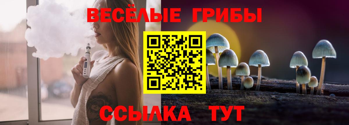 дарнет шоп  Псилоцибиновые грибы Psilocybine cubensis  Тихвин  Вход с VPN  Псилоцибиновые грибы мицелий 