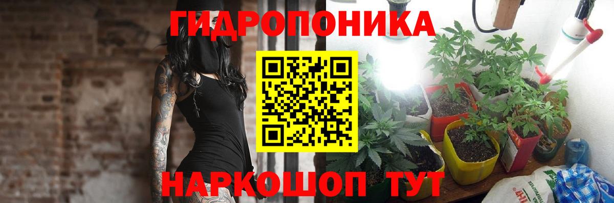 Конопля конопля Тихвин